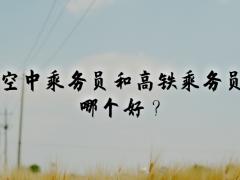 空中乘務(wù)員和高鐵乘務(wù)員哪個(gè)好？