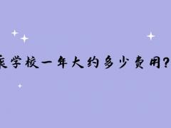 讀空乘學(xué)校一年大約多少費用？