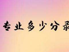 空乘專業(yè)多少分錄取？