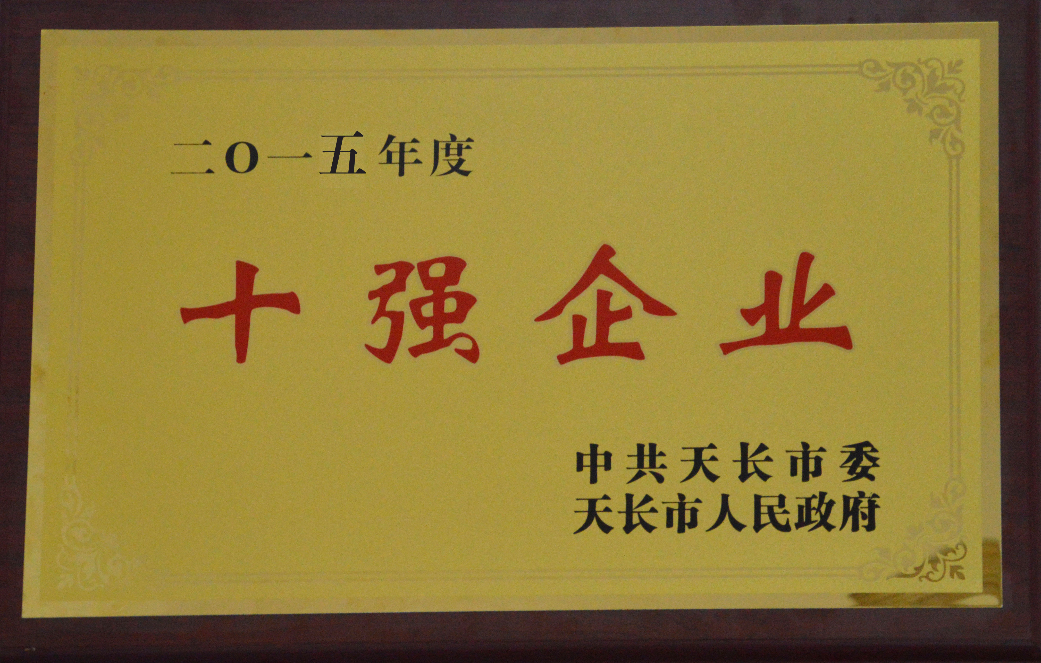 2015年度十強企業(yè)