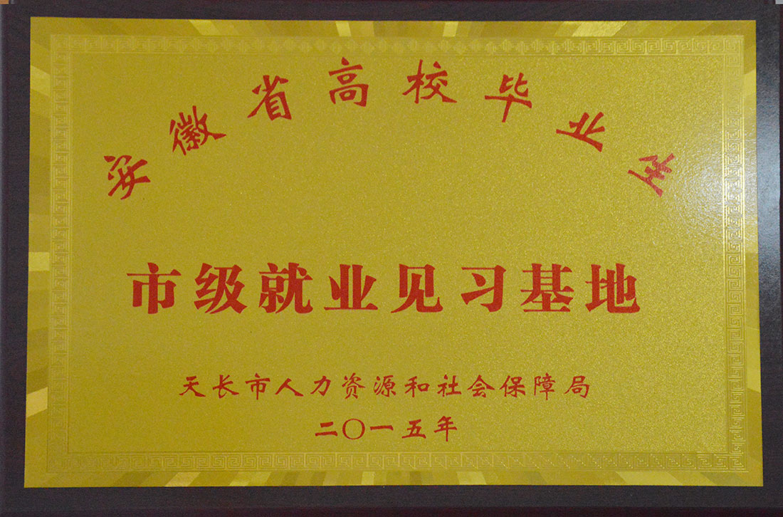 安徽省高校畢業(yè)生市級就業(yè)見習基地