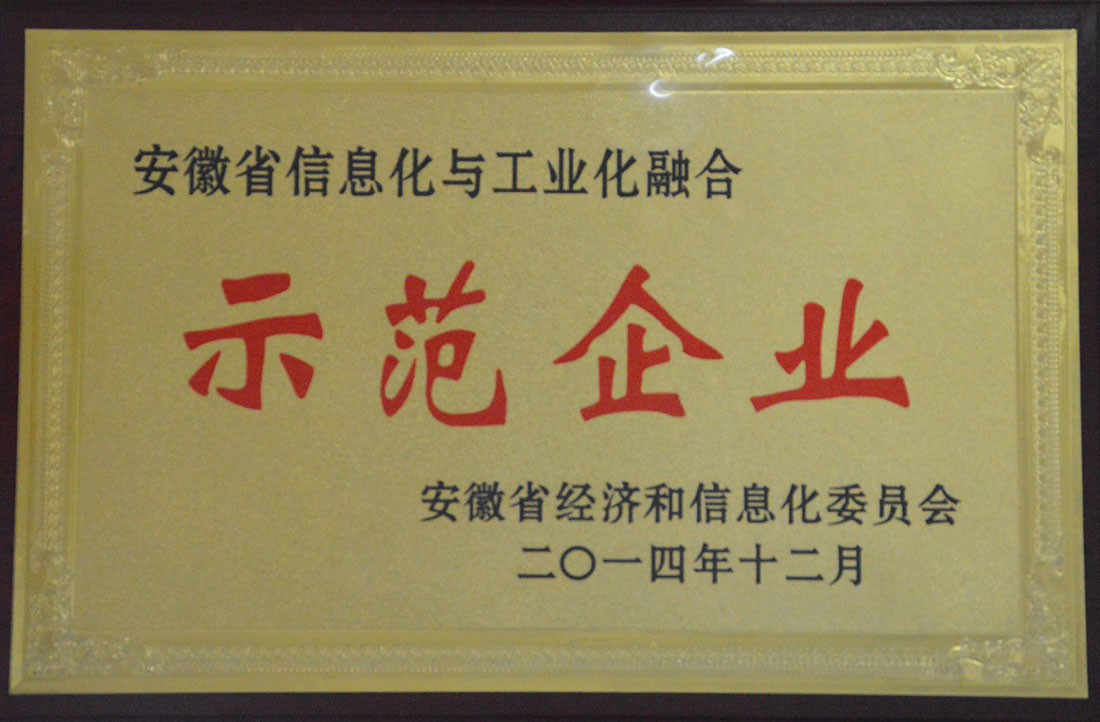安徽省信息化與工業(yè)化融合示范企業(yè)